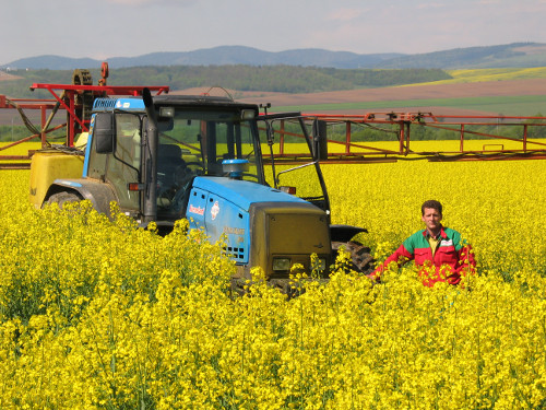 Repka ošetrená Hakofytom