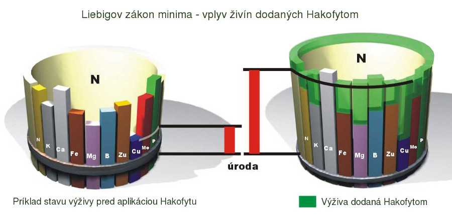 Liebigov zákon minima - vplyv živín dodaných Hakofytom