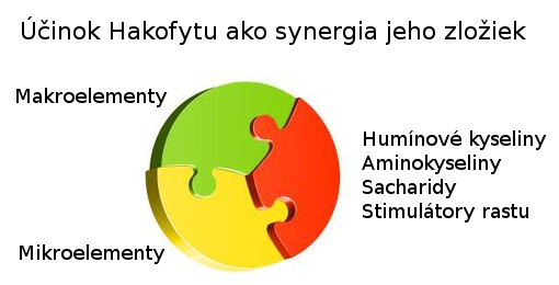 Účinok Hakofytu ako synergia jeho zložiek